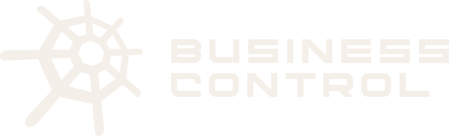 Business Control Marketing